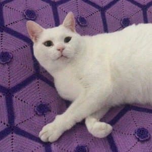 Sinem G. profil fotoğrafı