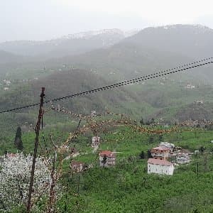 Suat B. profil fotoğrafı