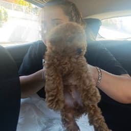 Sude T. profil fotoğrafı