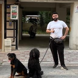 Tarık Ç. profil fotoğrafı