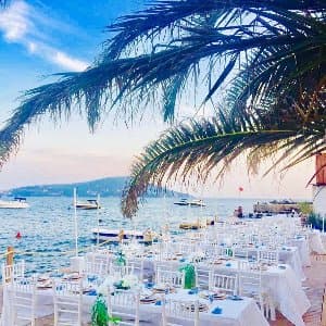 Teos W. profil fotoğrafı