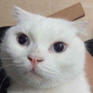 Tuana A. profil fotoğrafı