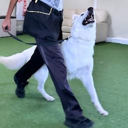 Tuğçe Ç. profil fotoğrafı