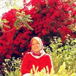 Tulay K. profil fotoğrafı