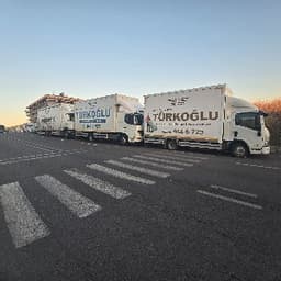 Türkoğlu N. profil fotoğrafı
