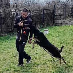 Ural D. profil fotoğrafı