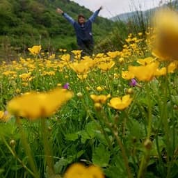 Yasemin K. profil fotoğrafı