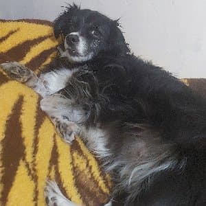 Yasemin M. profil fotoğrafı