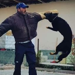 Yücel T. profil fotoğrafı