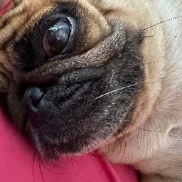 Zeynep T. profil fotoğrafı