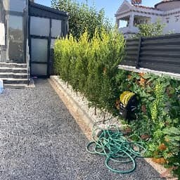 Ziya T. profil fotoğrafı