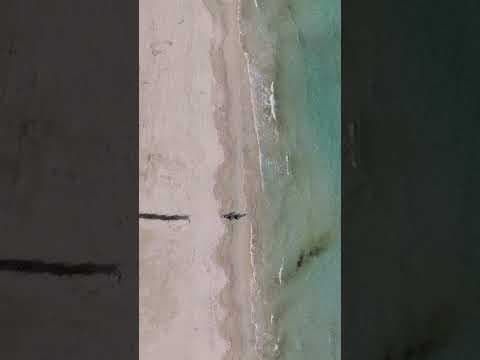 AEP S. — video 8