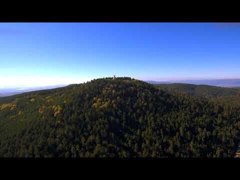 Furkan E. — video 6