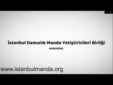 Bbk M. — video 3