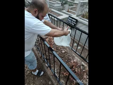 Halil Ö. — video 4