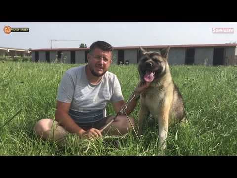 Edip T. — video 1