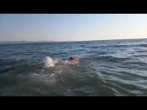 Hakan O. — video 1