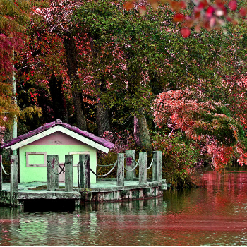Atatürk Arboretumu Dış Çekim