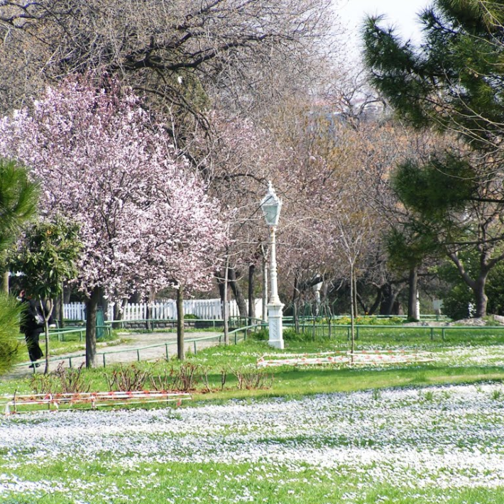 Fenerbahçe Parkı Dış Çekim