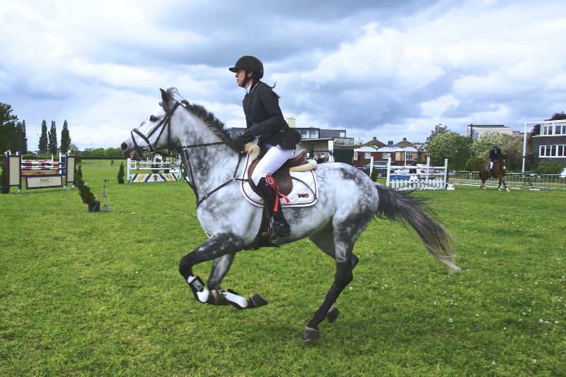 At Binicilik Dersi Eğitmeni