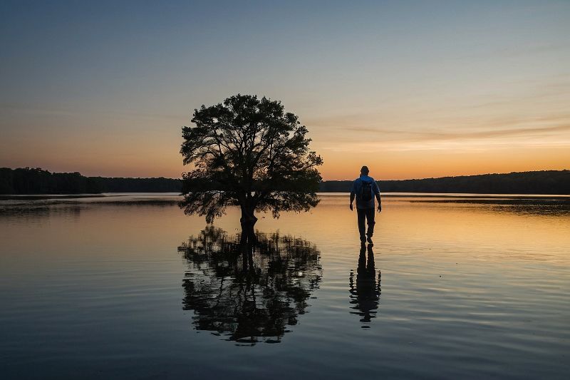 Kişisel Farkındalık ve Dönüşüm Koçu