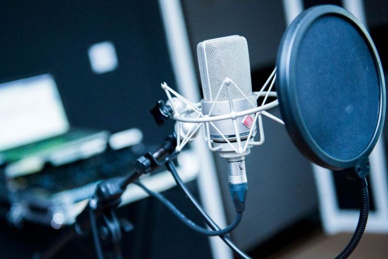 Seslendirme Sanatçısı