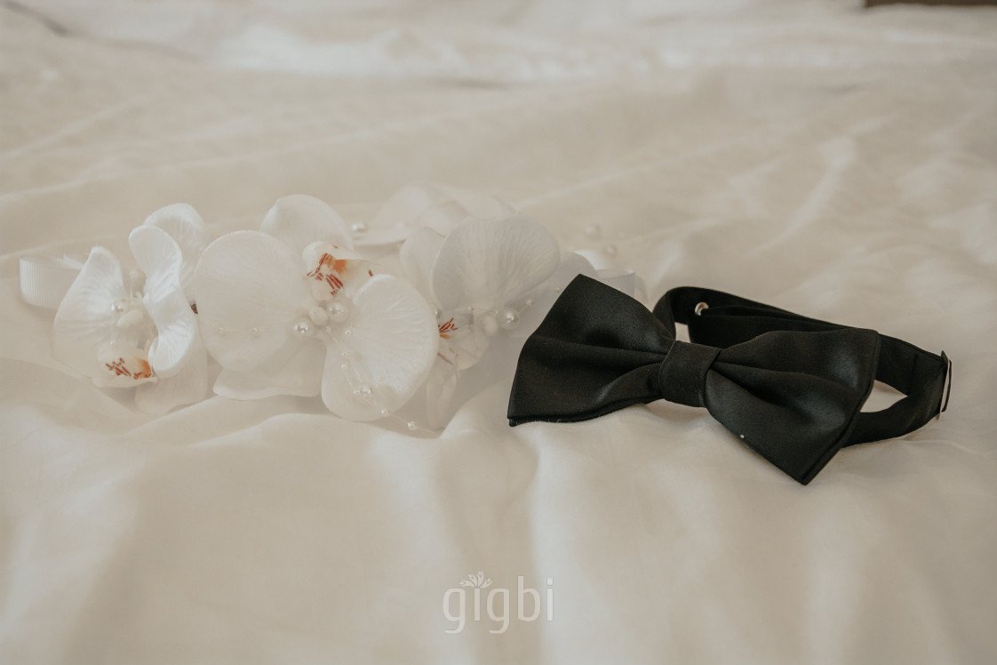 4K Plus Fotoğrafçılık