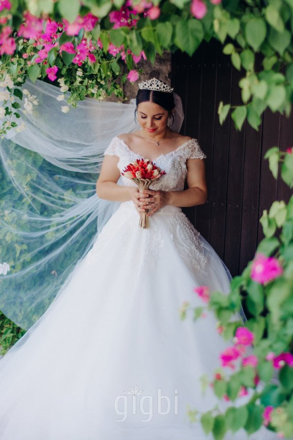 4K Plus Fotoğrafçılık