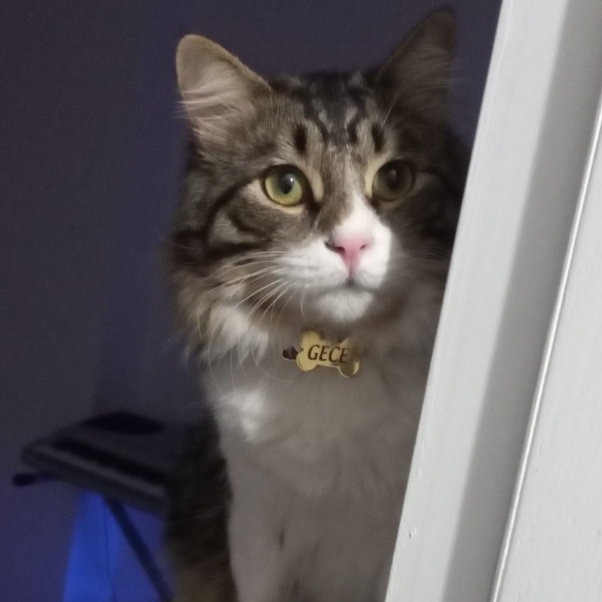 Abdullah Kılıçoğlu