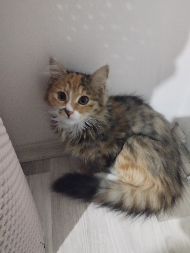 Abdullah Kılıçoğlu