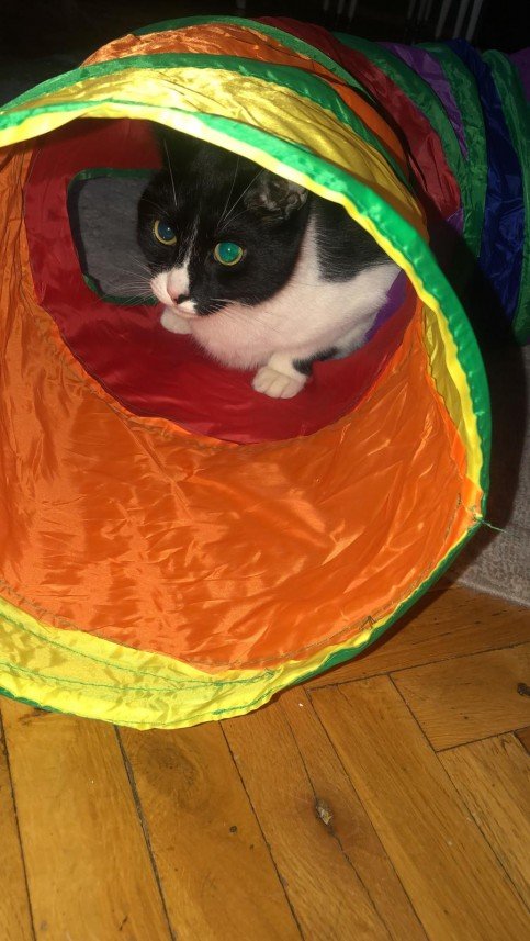 Abdurrahman  Sarıbatur