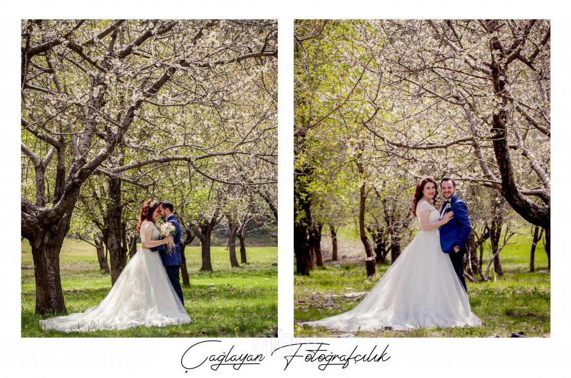 Çağlayan Fotoğrafçılık