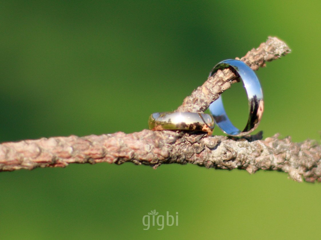 ahde vefa fotoğrafçılık