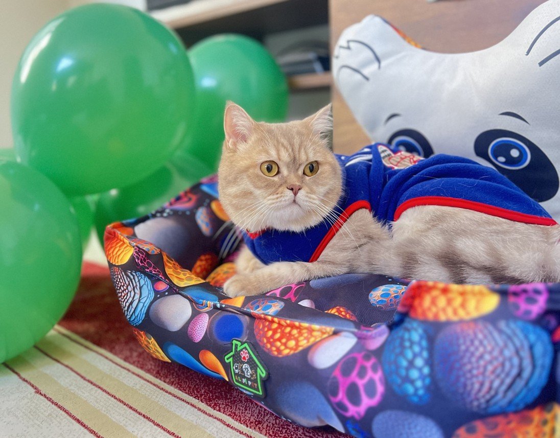 Ahmet Mücahit Mutlu