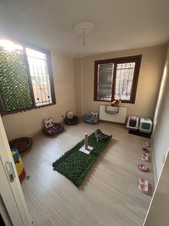 Ahmet Mücahit Mutlu