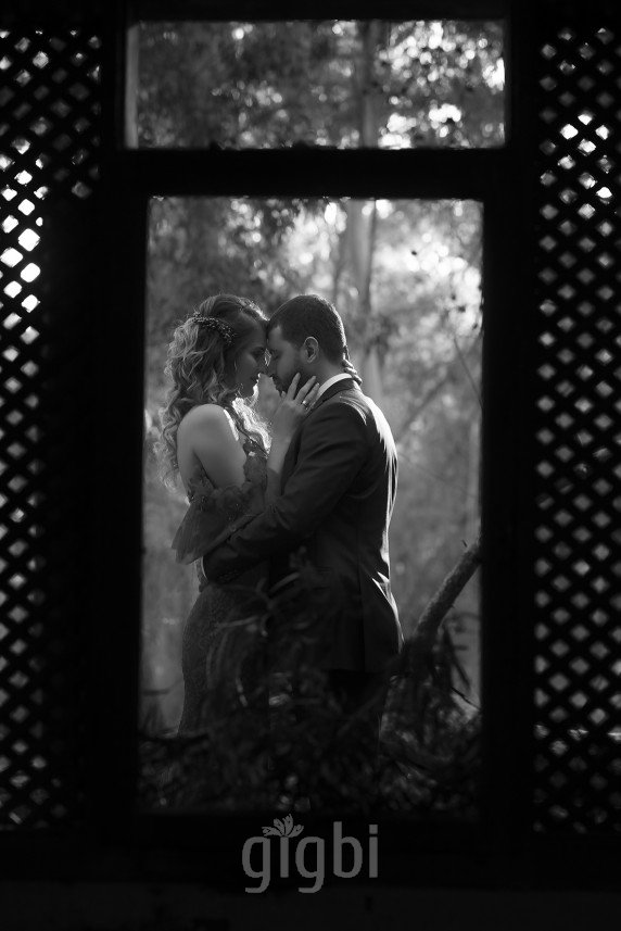 A. Fotoğrafçılık 