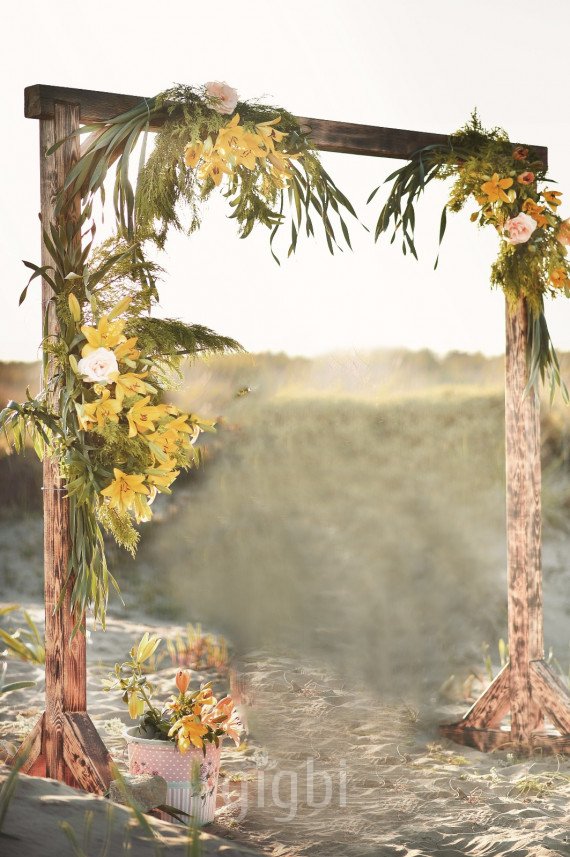 A. Fotoğrafçılık 