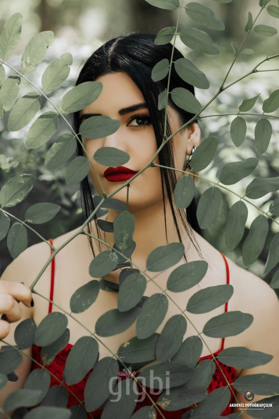 A. Fotoğrafçılık 