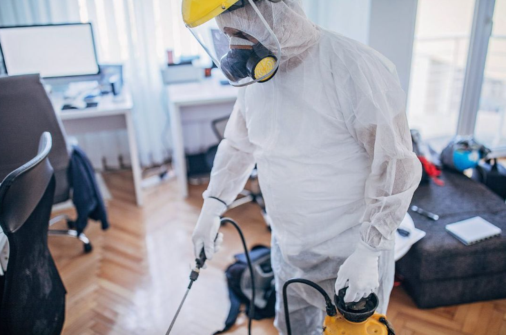 Alaçatı İlaçlama