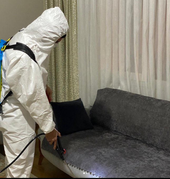 Alaçatı İlaçlama