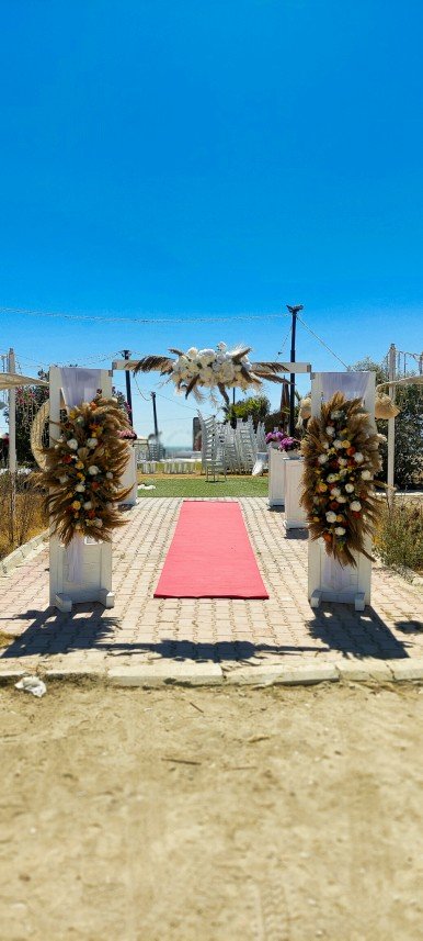 Alice Organizasyon & Fotoğrafçılık