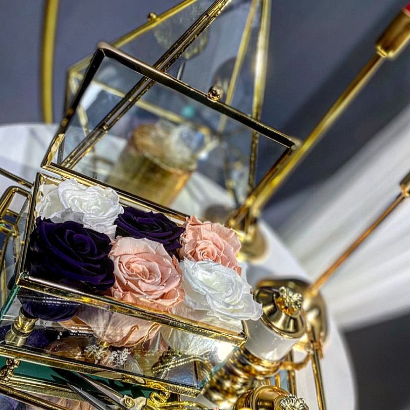 Altın Kafes Organizasyon