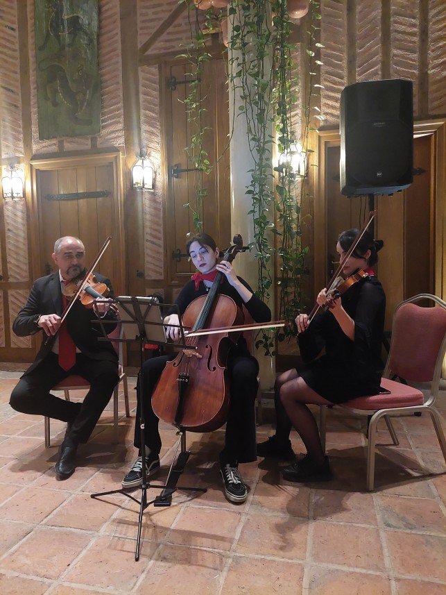 Altona Sanat Organizasyon