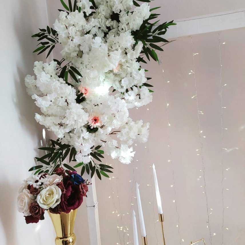 Alya Event Organizasyon