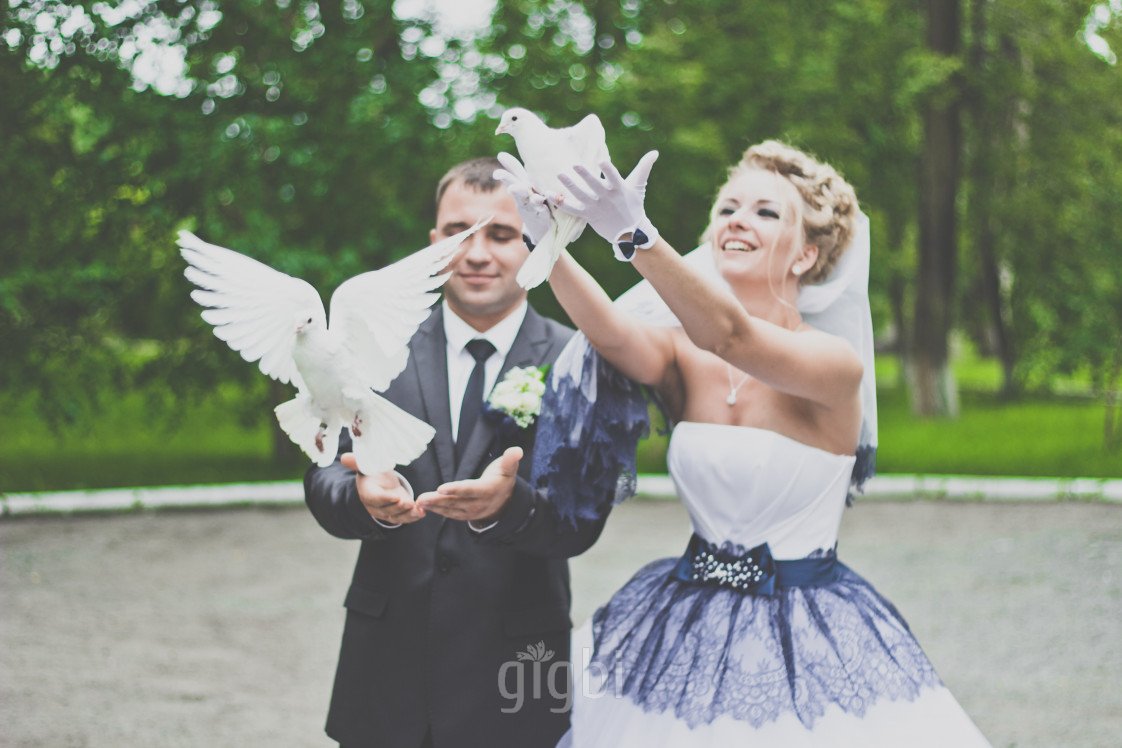 amor Fotoğraf  & Video