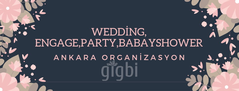 Ankara Organizasyonu