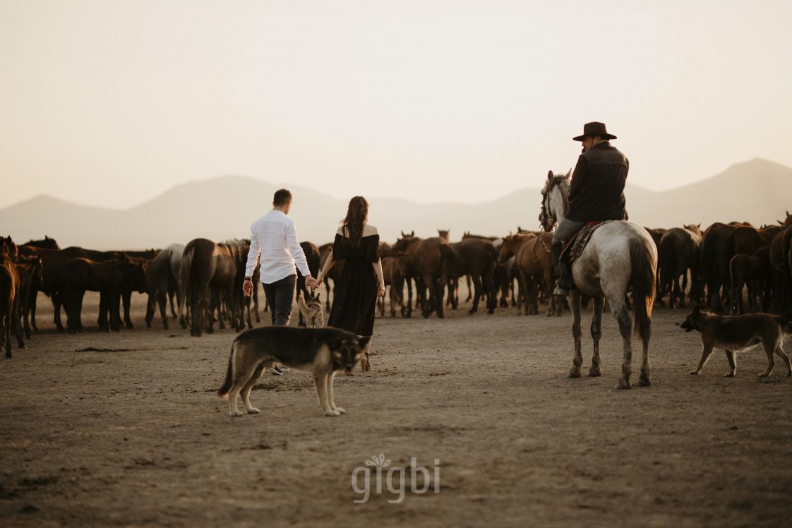 ankaradugunfotograf.art