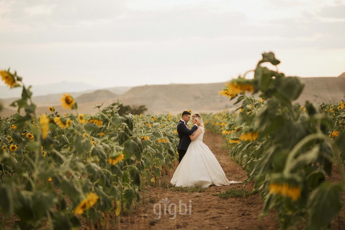 ankaradugunfotograf.art