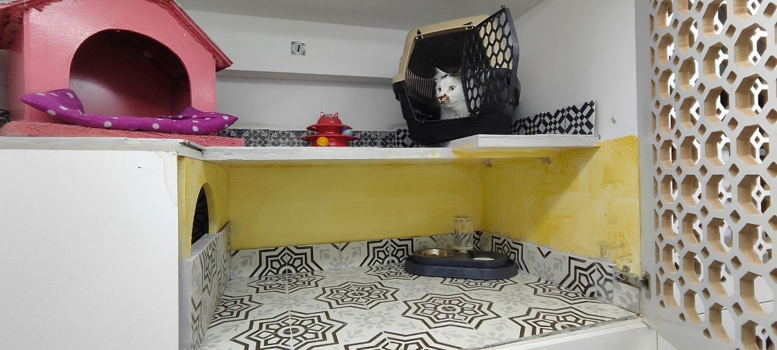 Minik Patiler Kedi Oteli