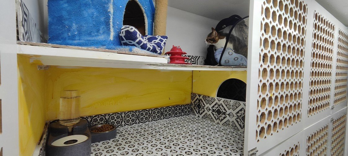 Minik Patiler Kedi Oteli